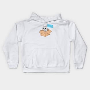 Gamer cat in a box Kids Hoodie